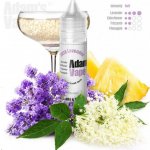 Adams vape S&V Fizzy Lavender 10 ml – Zboží Mobilmania