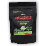 Carne Labs Wizard Pre-workout 600 g – Zboží Mobilmania