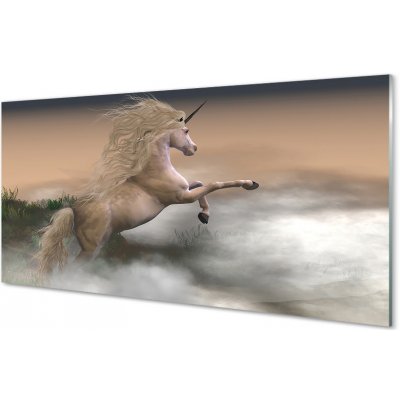 Obraz na skle Unicorn mraky 100x50 cm – Zbozi.Blesk.cz