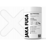 JAKA FUGA zelená smaragdová 1 kg – Hledejceny.cz