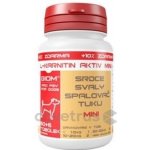 Giom L-karnitin Aktiv Mini 60 tbl – Hledejceny.cz