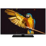 GoGEN TVF 32M340 STWEB – Hledejceny.cz