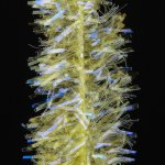 Hends Šenylka Ice Chenille Světle Žlutá 4mm – Hledejceny.cz