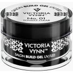 Victoria Vynn Stavební gel Clear 15 ml – Zboží Dáma