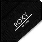 Roxy Folker beanie black – Zbozi.Blesk.cz