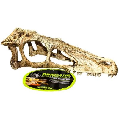 Komodo lebka Raptor L 17x6x7 cm – Zbozi.Blesk.cz