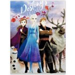 Setino Dětská fleecová deka Ledové království Frozen motiv My destiny’s calling – Hledejceny.cz