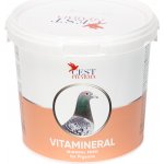 Cest Pharma Vitamineral 2,5 kg – Hledejceny.cz