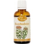 Serafin Rozchodnice tinktura z pupenů rostlin 50 ml – Hledejceny.cz