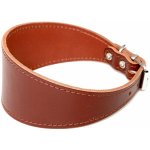 BafPet Kožený obojek pro chrty – Sleviste.cz