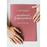 Cvičebnice usměvavé krasopsaní pro začátečníky - Lucie Špatenková – Hledejceny.cz