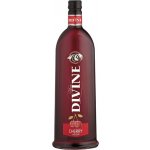 Boris Jelzin Cherry 16,6% 1 l (holá láhev) – Zbozi.Blesk.cz