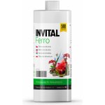 Invital Ferro 500 ml – Zboží Dáma