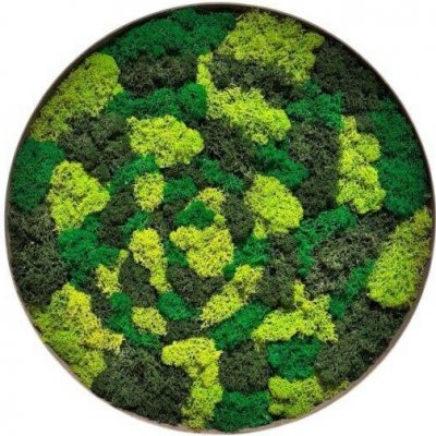 Mechový obraz 50 cm - 50x50x4,5, Černá – Zbozi.Blesk.cz