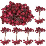 SPRINGOS Vánoční jeřabiny zmrzlé tmavě červené sada 40ks CA0744-XG – Zboží Dáma