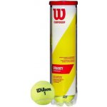 Wilson Championship 4ks – Hledejceny.cz