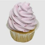 LIANA Ztužovač šlehačky BORŮVKA 100 g – Sleviste.cz