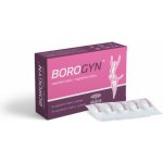 Borogyn vaginální čípky 10 x 2 g – Zboží Dáma