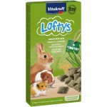 Vitakraft all Rodent pochoutka Loftys 100 g – Zbozi.Blesk.cz
