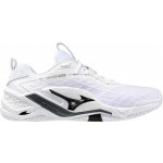 Mizuno WAVE STEALTH NEO 2.1 X1GA264083 – Hledejceny.cz