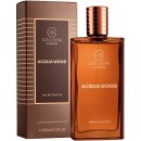 Collistar Acqua Wood Toaletní voda pánská 100 ml