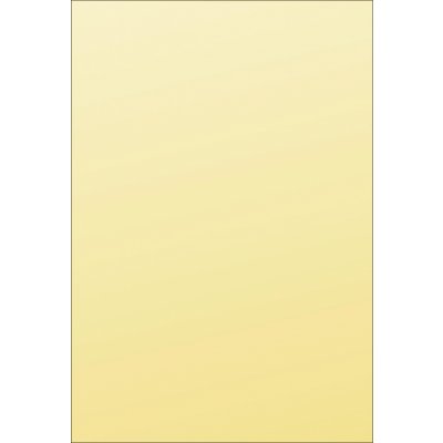 Karton P+P L A4 Obaly na doklady silné žluté 10 ks – Zboží Mobilmania