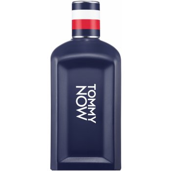 Tommy Hilfiger toaletní voda pánská 50 ml