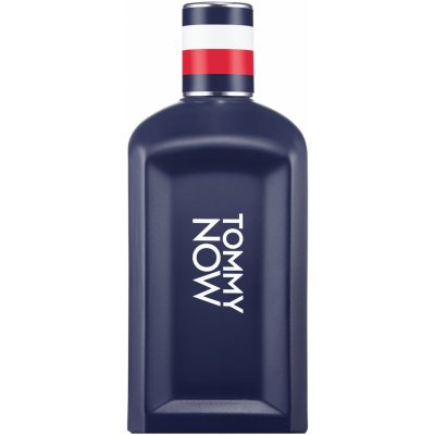 Tommy Hilfiger toaletní voda pánská 50 ml