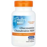 Doctor's Best Veganský glukosamin chondroitin a MSM 120 kapslí – Hledejceny.cz