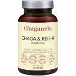 Chaganela Extrakt čagy s reishi 60 kapslí – Hledejceny.cz