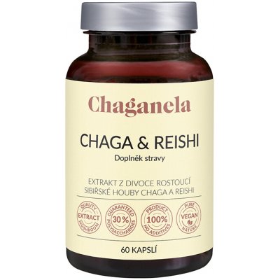 Chaganela Extrakt čagy s reishi 60 kapslí – Hledejceny.cz