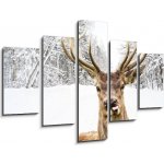 Obraz 5D pětidílný - 150 x 100 cm - Deer with beautiful big horns on a winter country road Jelen s krásnými velkými rohy na zimní venkovské cestě – Sleviste.cz