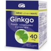 Doplněk stravy na paměť a koncentraci GS Ginkgo 40 mg 90+30 tablet