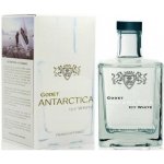 Godet Antarctica 40% 0,5 l (karton) – Zboží Dáma