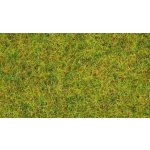 Noch statická tráva letní louka 2,5mm 20g 08310 – Sleviste.cz