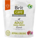 Brit Care Dog Hypoallergenic Adult Small Breed Lamb 1 kg – Hledejceny.cz