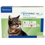 Effipro DUO Spot-on Cat 1-6 kg 50 / 60 mg 4 x 0,5 ml – Zboží Mobilmania