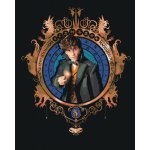 ZUTY Malování podle čísel PORTRÉT MLOK SCAMANDER FANTASTICKÁ ZVÍŘATA Rozměr 40 x 50 cm Rámování vypnuté plátno na rám – Sleviste.cz