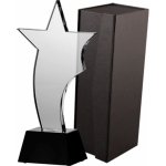 Skleněná trofej s pouzdrem – Sleviste.cz