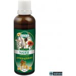 Naděje + betaglukan 50 ml – Hledejceny.cz