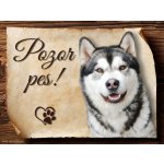 Sport hobby Cedulka Aljašský malamut Pozor pes 20 x 15 cm – Zbozi.Blesk.cz