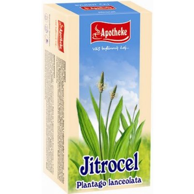Apotheke Jitrocel čaj 20 x 1,5 g – Zbozi.Blesk.cz