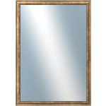 DANTIK TRITON 50x70 cm zlatá 2142 – Hledejceny.cz