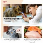 Churu Cat Purée Tuna with Chicken 50 x 14 g – Hledejceny.cz