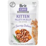 Brit Care Cat Fillets in Gravy Savory Salmon 85 g – Sleviste.cz