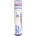 ARGENTUM NITRICUM POR 30CH GRA 1X4G – Hledejceny.cz