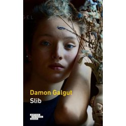 Slib, 1. vydání - Damon Galgut