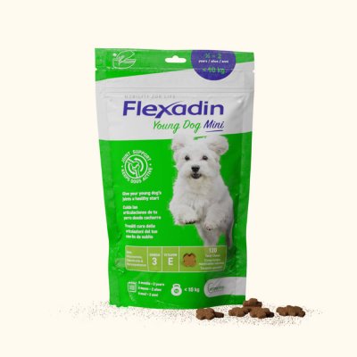 Flexadin Young Dog Mini 60 tabletv – Hledejceny.cz
