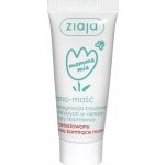 Ziaja Mamma Mia Lano lanolínová mast na bradavky 15 g – Hledejceny.cz
