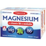 Terezia Magnesium + vitamin B6 a meduňka 30 kapslí – Hledejceny.cz